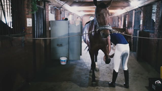 Jockey Girl Cleans Horseshoes Of Her Horse In The Barn