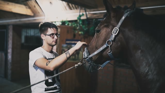 Man Stroking A Brown Horse's Head In The Stable