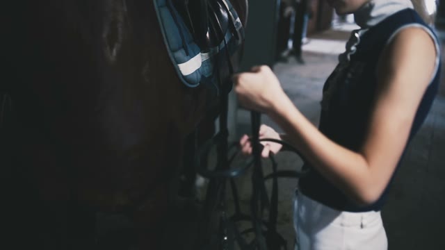 Beautiful Girl Horsewoman Unravels The Reins To The Horse