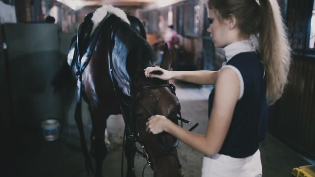 Beautiful Blond Girl Horsewoman Puts On The Reins Of Her Horse