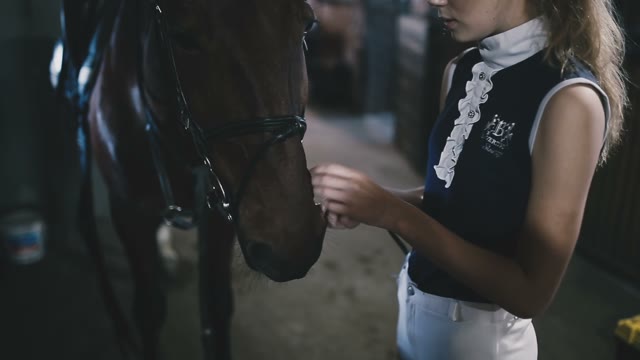 Beautiful Girl Horsewoman Puts On The Reins To Her Horse