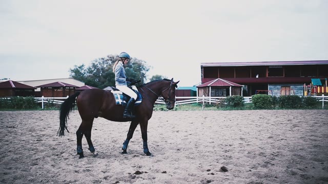 Beautiful Girl Rider Wearing A Helmet Is Sitting On A Horse