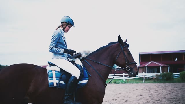 Beautiful Girl Equestrienne Sitting On A Horse And Playing Computer