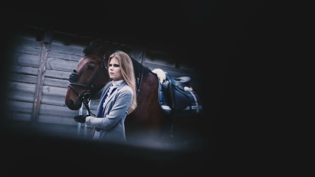 Beautiful Girl Rider And Brown Horse