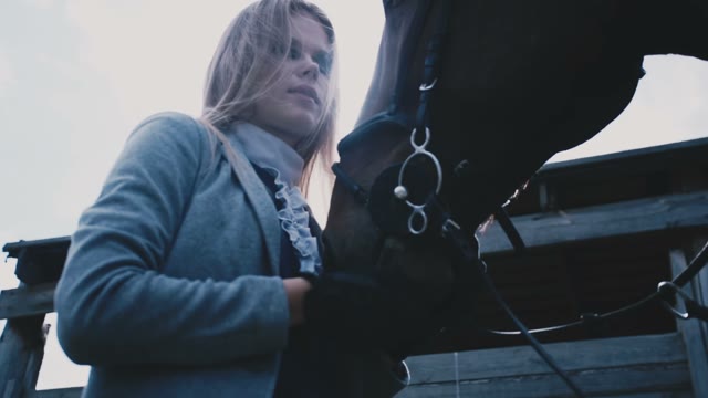 Rider Stroking Horse
