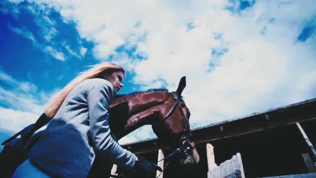 Horsewoman Stroking A Brown Horse