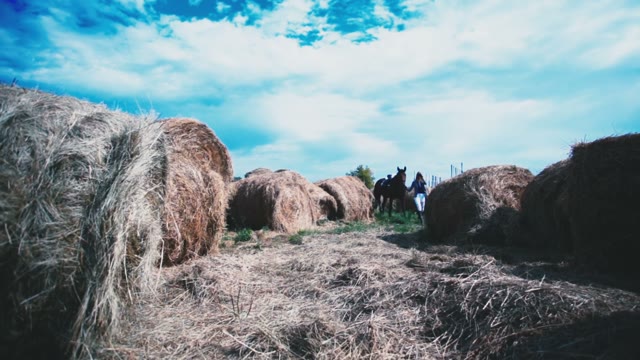 The Rider Walks The Horse Among The Many Stacks Of Hay