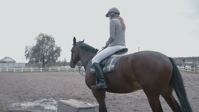 The Girl Jockey Riding On Her Horse On A Cloudy Day In The Field