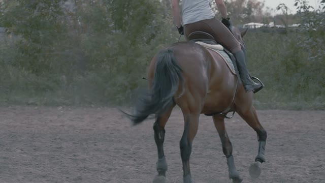 The Girl Jockey Riding On His Brown Horse On The Field