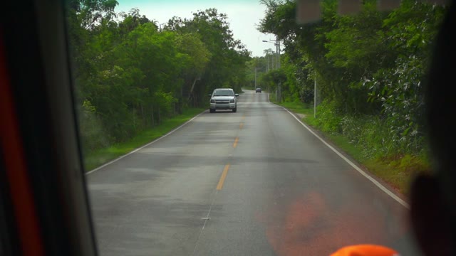 Shady Road With Passing Cars