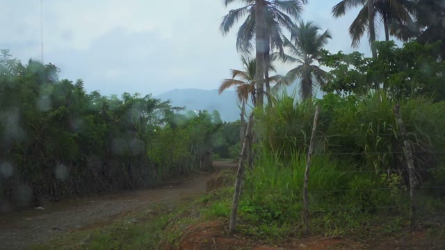 The View From The Car Window In The Rain Forest In The Rain