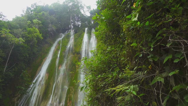 Green Plants At The Foot Of The Raging High Waterfall