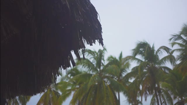 Drops Of Tropical Rain Falling From The Bungalows