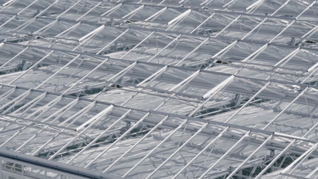 An Endless Number Of Glass Greenhouses In The Sunshine