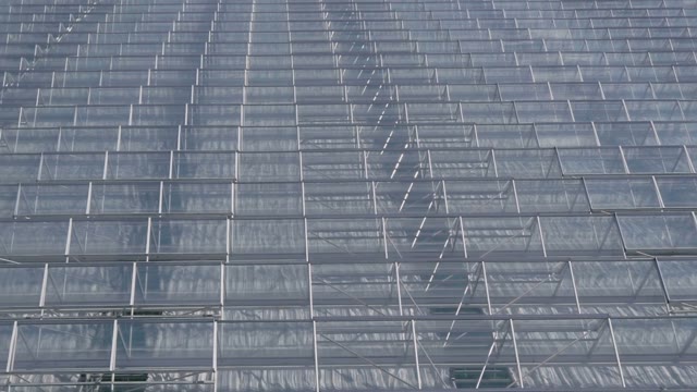 An Infinite Number Of Glass Roofs Of Greenhouses