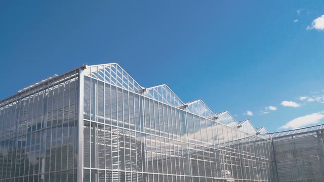 Roofs Greenhouse On The Background Of Blue Sky