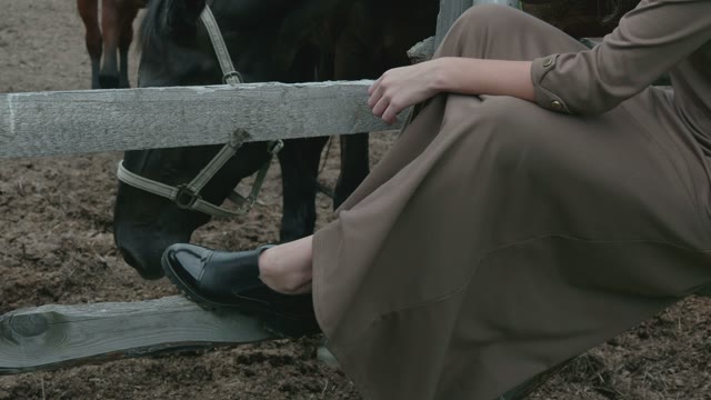 Girl Sitting Next To A Horse Paddock