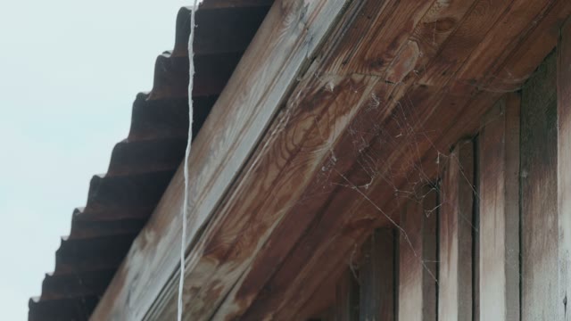 Spiderwebs On The Wooden House Close-up