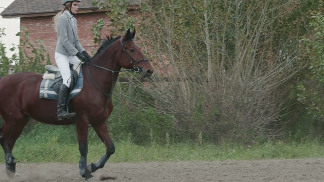 Horse Gallops With Rider