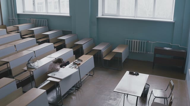 The Girl Student In A Pink Blouse Is Working At The Desk In The Classroom Alone