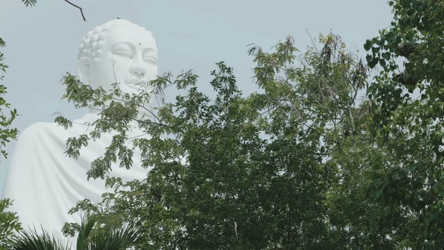 Large Sculpture Buddha