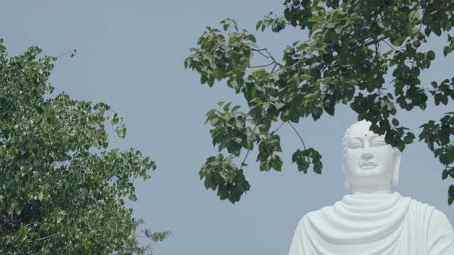Large Sculpture Buddha