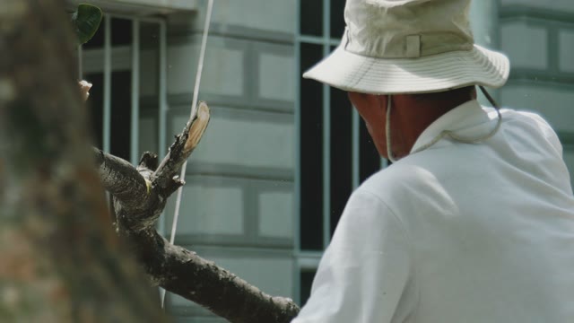 Man Chopping Tree Branch Close-up