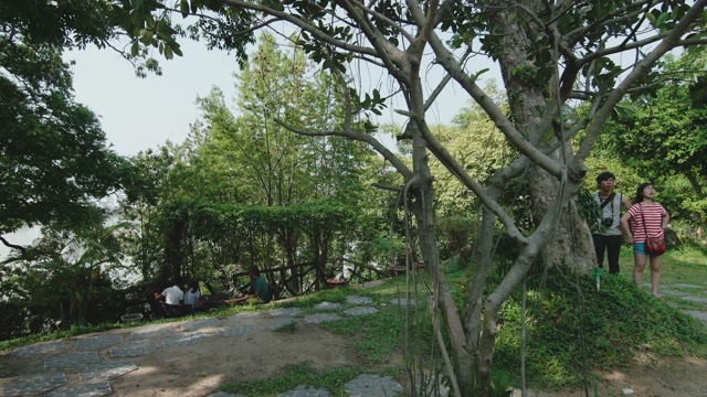 Statue Of A Buddha In The Garden