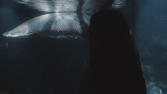 Silhouette Of A Girl Next To The Aquarium Close-up