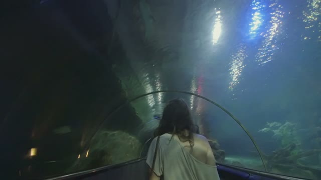 People Look At The Marine Life In Aquarium