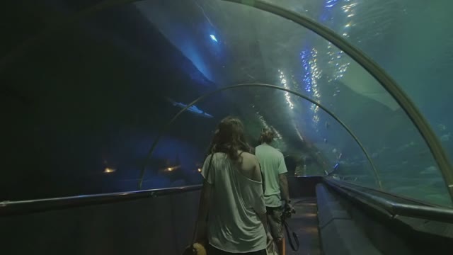 People Look At The Marine Life In A Large Aquarium