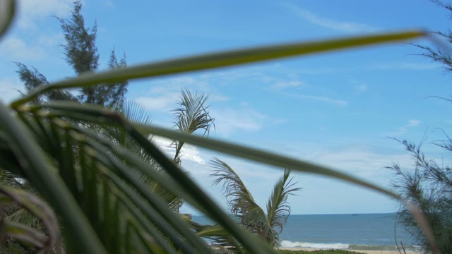 The Sea Through The Leaves Of The Palm Trees