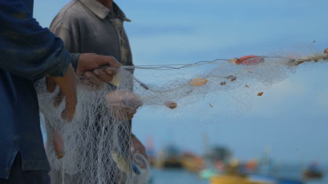 The Men Rolled Up The Fishing Net From The Coast