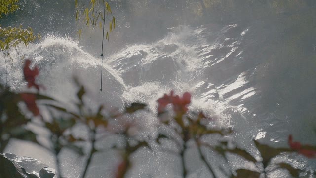 Beautiful Waterfall Among The Greenery