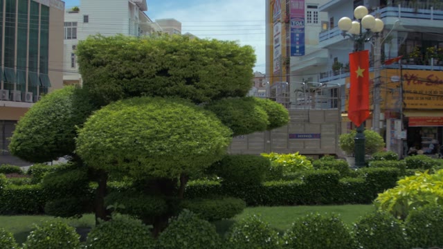 Green Trees Grow Next To The Roadway