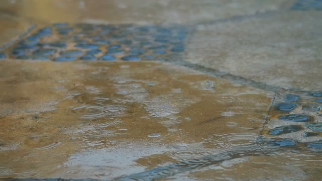 Rain Drops Falling On The Road Tile Brown