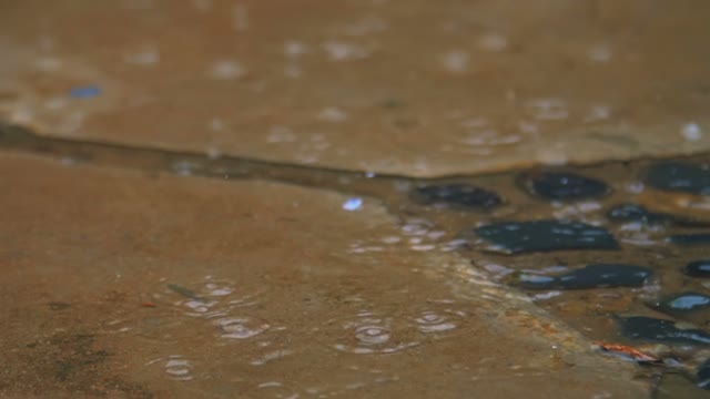 Rain Pouring Down On The Asphalt And Tile