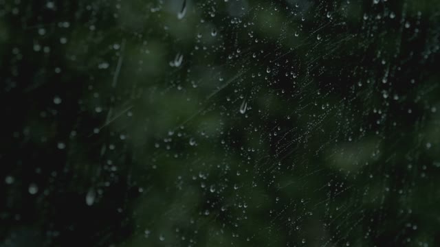 Raindrops Running Down The Car Window