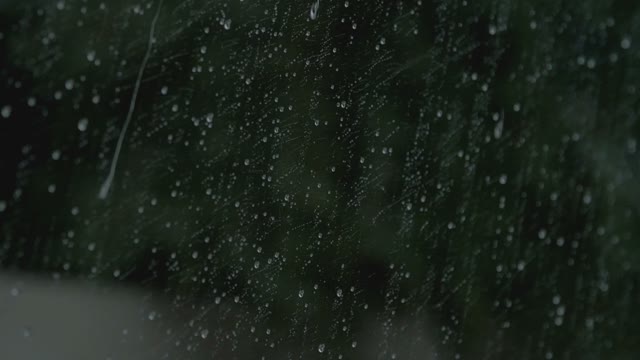 Drops Rain Window