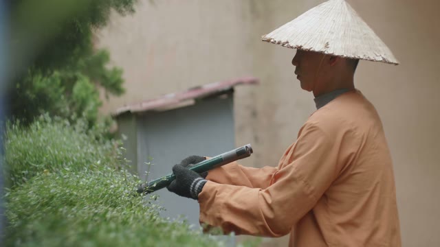 Man Cuts Bush