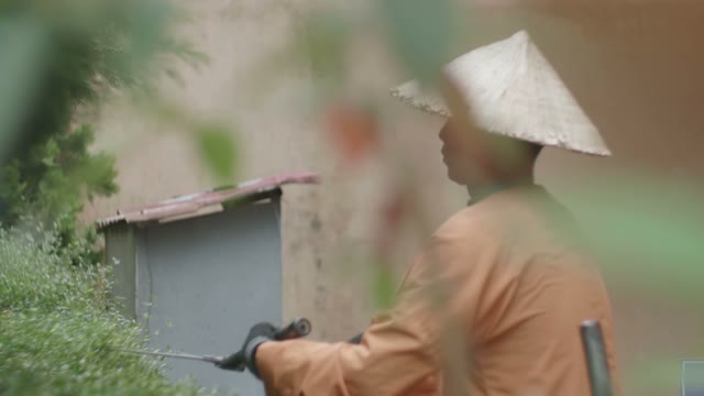 Man Cuts Bush
