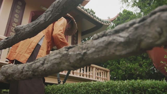 Man Cuts Bush
