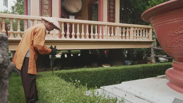 Man Cuts Bush