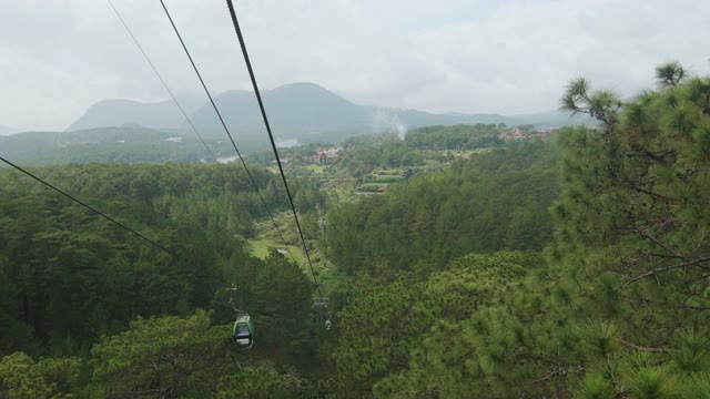 View Of Coniferous Trees With The Funicular