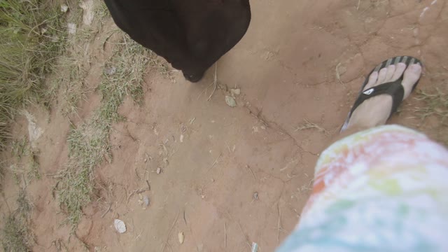 Men's And Women's Feet Walking Along The Road