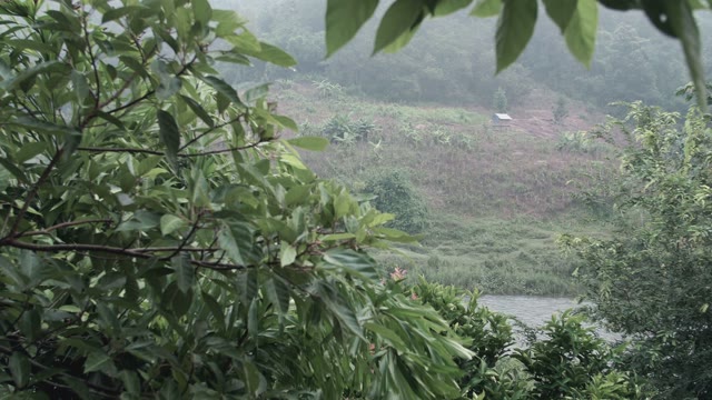 Nice View Of The River Surrounded By Trees