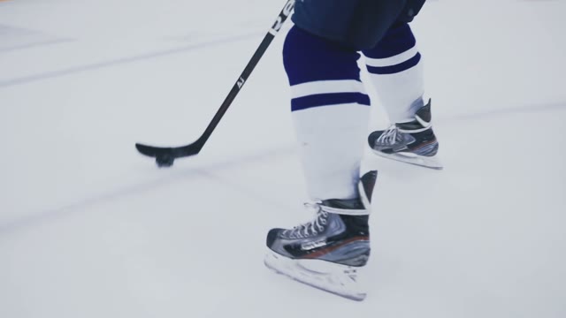 Hockey Player Scores Goal Gate