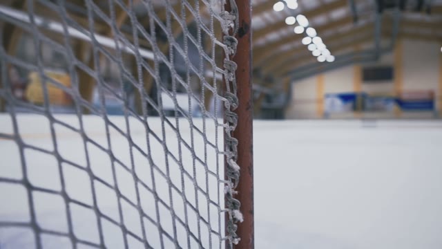 Hockey Player Scores Goal Gate
