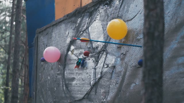 Arrow Flew Wall