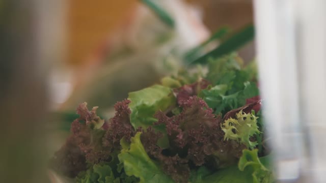 Appetizing Tasty Vegetables On A Plate